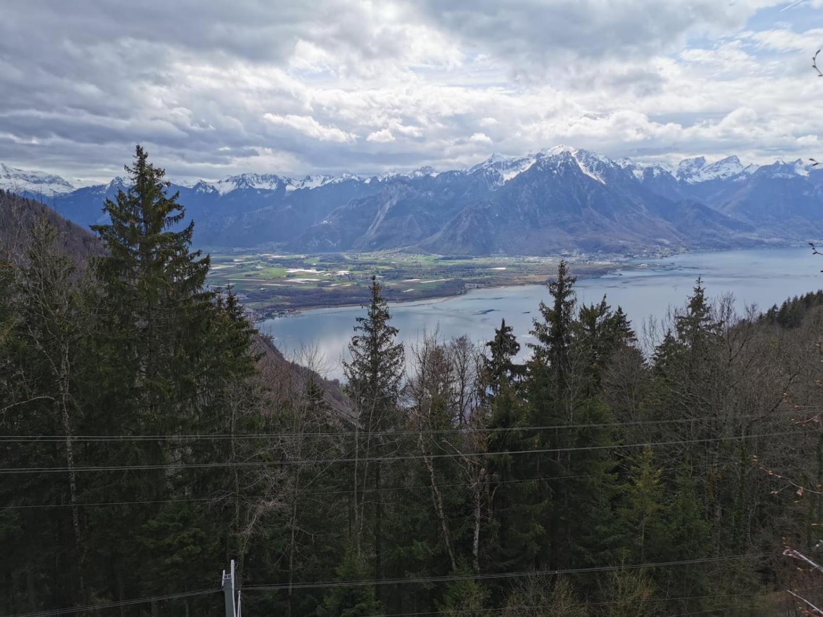 Residence Alpina Caux Montreux Exterior photo